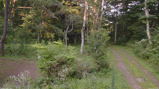 長野県菅平高原 ゆたか山荘 坂上 2026/08/19 17:15