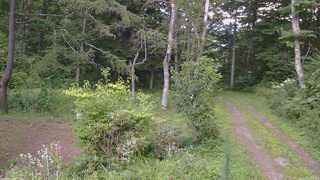 長野県菅平高原 ゆたか山荘 坂上 2026/08/19 17:30