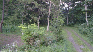 長野県菅平高原 ゆたか山荘 坂上 2026/08/19 17:45