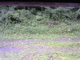 長野県菅平高原 ゆたか山荘 東側(坂下) 2026/08/20 07:15