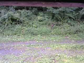 長野県菅平高原 ゆたか山荘 東側(坂下) 2026/08/20 10:15