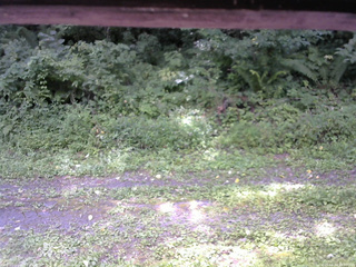 長野県菅平高原 ゆたか山荘 東側(坂下) 2026/08/20 10:30
