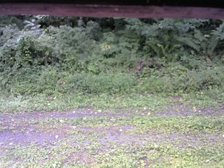 長野県菅平高原 ゆたか山荘 東側(坂下) 2026/08/20 11:15