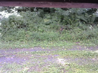長野県菅平高原 ゆたか山荘 東側(坂下) 2026/08/20 11:30