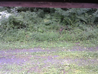 長野県菅平高原 ゆたか山荘 東側(坂下) 2026/08/20 11:45