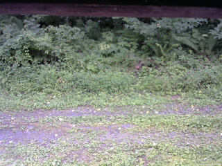 長野県菅平高原 ゆたか山荘 東側(坂下) 2026/08/20 12:45