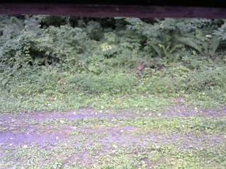 長野県菅平高原 ゆたか山荘 東側(坂下) 2026/08/20 15:00