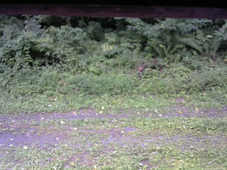 長野県菅平高原 ゆたか山荘 東側(坂下) 2026/08/20 15:45