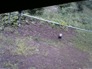 長野県菅平高原 ゆたか山荘 駐車場 2026/08/20 05:30