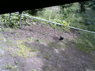 長野県菅平高原 ゆたか山荘 駐車場 2026/08/20 11:30