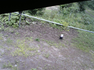長野県菅平高原 ゆたか山荘 駐車場 2026/08/20 13:45
