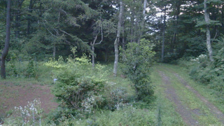 長野県菅平高原 ゆたか山荘 坂上 2026/08/20 05:15