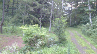 長野県菅平高原 ゆたか山荘 坂上 2026/08/20 05:30