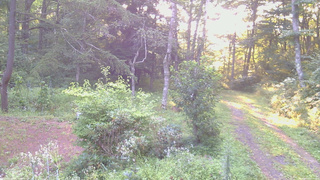 長野県菅平高原 ゆたか山荘 坂上 2026/08/20 06:00
