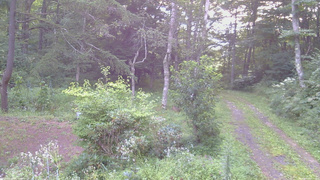 長野県菅平高原 ゆたか山荘 坂上 2026/08/20 06:15