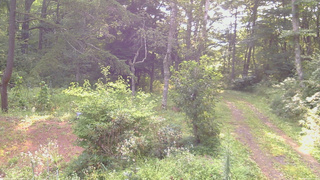 長野県菅平高原 ゆたか山荘 坂上 2026/08/20 06:45