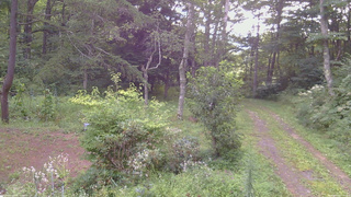 長野県菅平高原 ゆたか山荘 坂上 2026/08/20 07:00