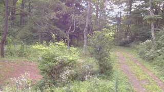 長野県菅平高原 ゆたか山荘 坂上 2026/08/20 07:15