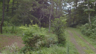 長野県菅平高原 ゆたか山荘 坂上 2026/08/20 07:45