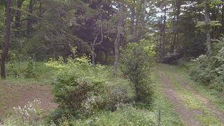 長野県菅平高原 ゆたか山荘 坂上 2026/08/20 08:15