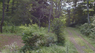 長野県菅平高原 ゆたか山荘 坂上 2026/08/20 08:30
