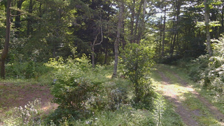 長野県菅平高原 ゆたか山荘 坂上 2026/08/20 08:45