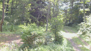 長野県菅平高原 ゆたか山荘 坂上 2026/08/20 09:00