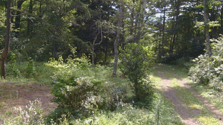 長野県菅平高原 ゆたか山荘 坂上 2026/08/20 09:15