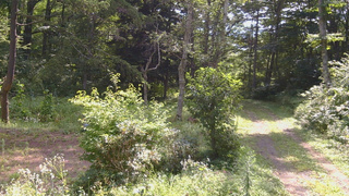 長野県菅平高原 ゆたか山荘 坂上 2026/08/20 09:30