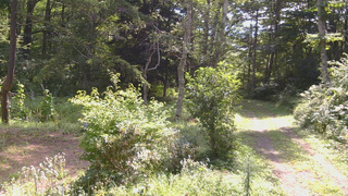 長野県菅平高原 ゆたか山荘 坂上 2026/08/20 09:45