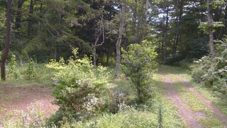 長野県菅平高原 ゆたか山荘 坂上 2026/08/20 10:15