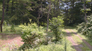 長野県菅平高原 ゆたか山荘 坂上 2026/08/20 10:30