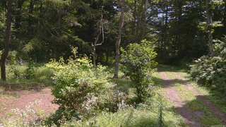 長野県菅平高原 ゆたか山荘 坂上 2026/08/20 10:45