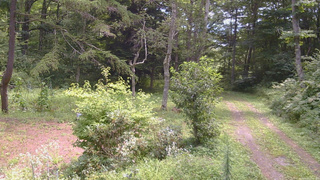 長野県菅平高原 ゆたか山荘 坂上 2026/08/20 11:00