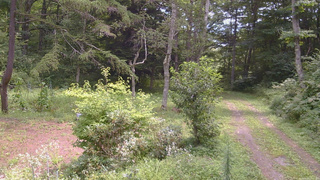 長野県菅平高原 ゆたか山荘 坂上 2026/08/20 11:15