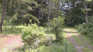 長野県菅平高原 ゆたか山荘 坂上 2026/08/20 11:30