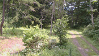 長野県菅平高原 ゆたか山荘 坂上 2026/08/20 11:45