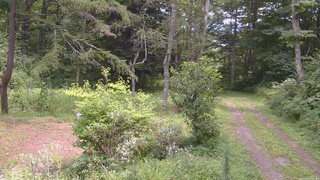 長野県菅平高原 ゆたか山荘 坂上 2026/08/20 12:00