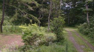 長野県菅平高原 ゆたか山荘 坂上 2026/08/20 12:15