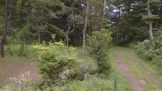 長野県菅平高原 ゆたか山荘 坂上 2026/08/20 12:30
