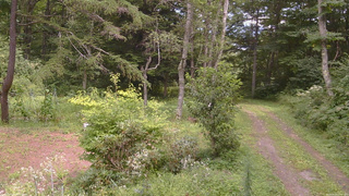 長野県菅平高原 ゆたか山荘 坂上 2026/08/20 12:45