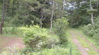 長野県菅平高原 ゆたか山荘 坂上 2026/08/20 13:00