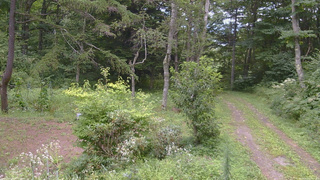 長野県菅平高原 ゆたか山荘 坂上 2026/08/20 13:15