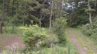 長野県菅平高原 ゆたか山荘 坂上 2026/08/20 13:30