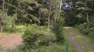 長野県菅平高原 ゆたか山荘 坂上 2026/08/20 13:45