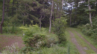 長野県菅平高原 ゆたか山荘 坂上 2026/08/20 14:00
