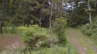 長野県菅平高原 ゆたか山荘 坂上 2026/08/20 14:15