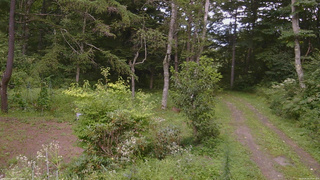 長野県菅平高原 ゆたか山荘 坂上 2026/08/20 14:30