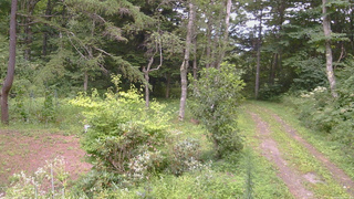 長野県菅平高原 ゆたか山荘 坂上 2026/08/20 14:45
