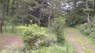 長野県菅平高原 ゆたか山荘 坂上 2026/08/20 15:00